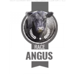 Carpaccio de Bœuf race Angus