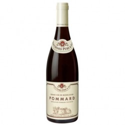 Pommard bourgogne
